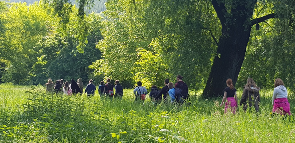 29.05.2019---Neues-NABU-KL-5a-Nr.-1.png
