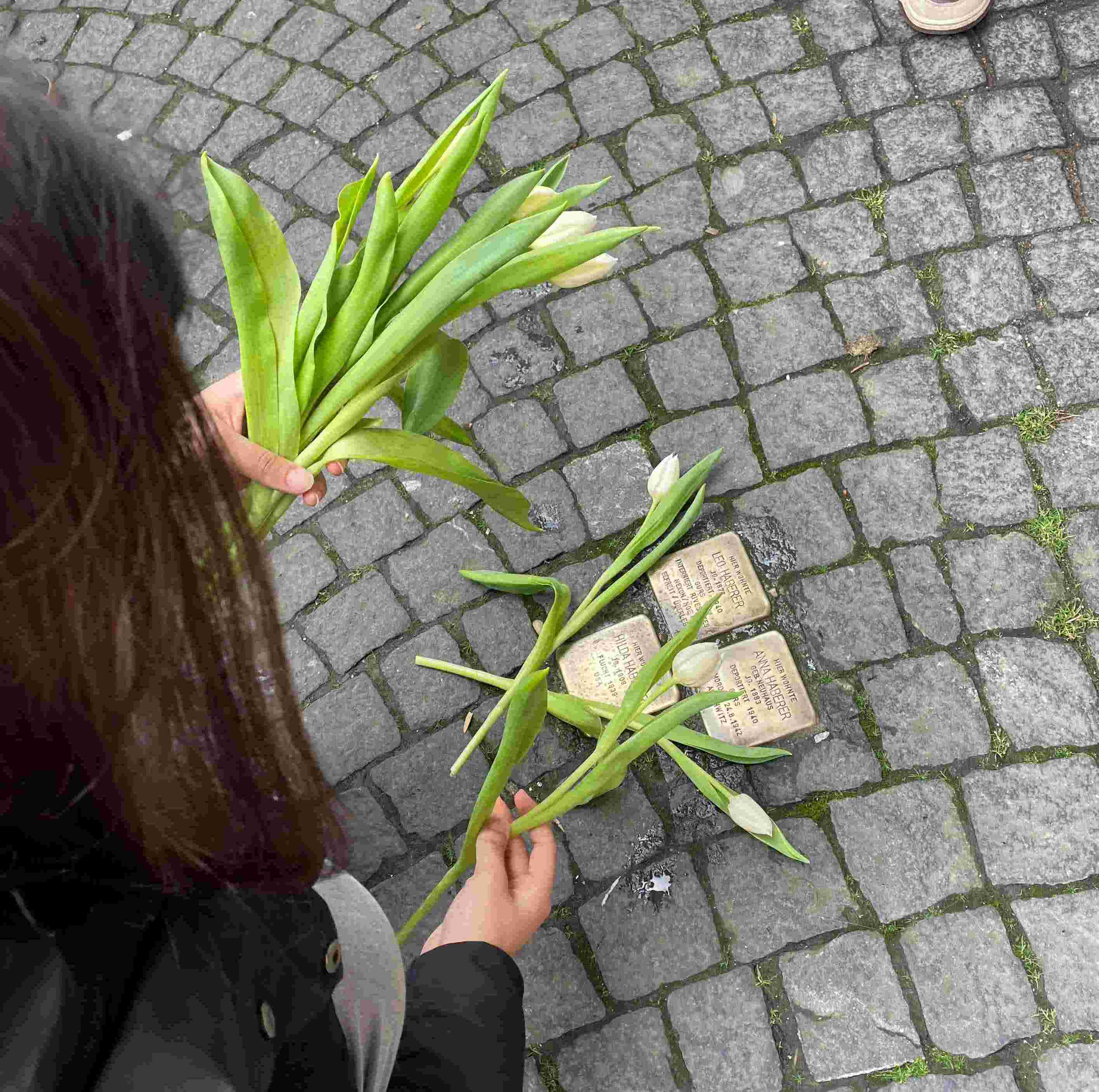 Stolpersteine2.jpg