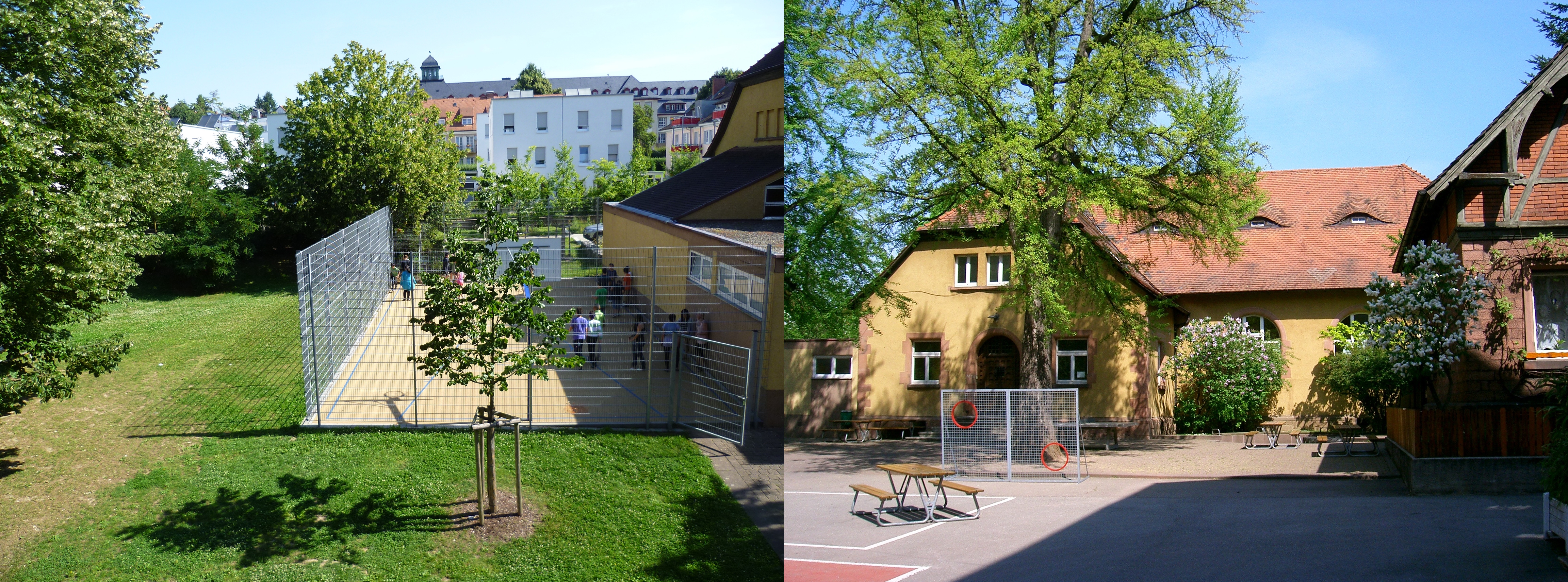 Raeume-und-Ausstattung--Schulhof.jpg