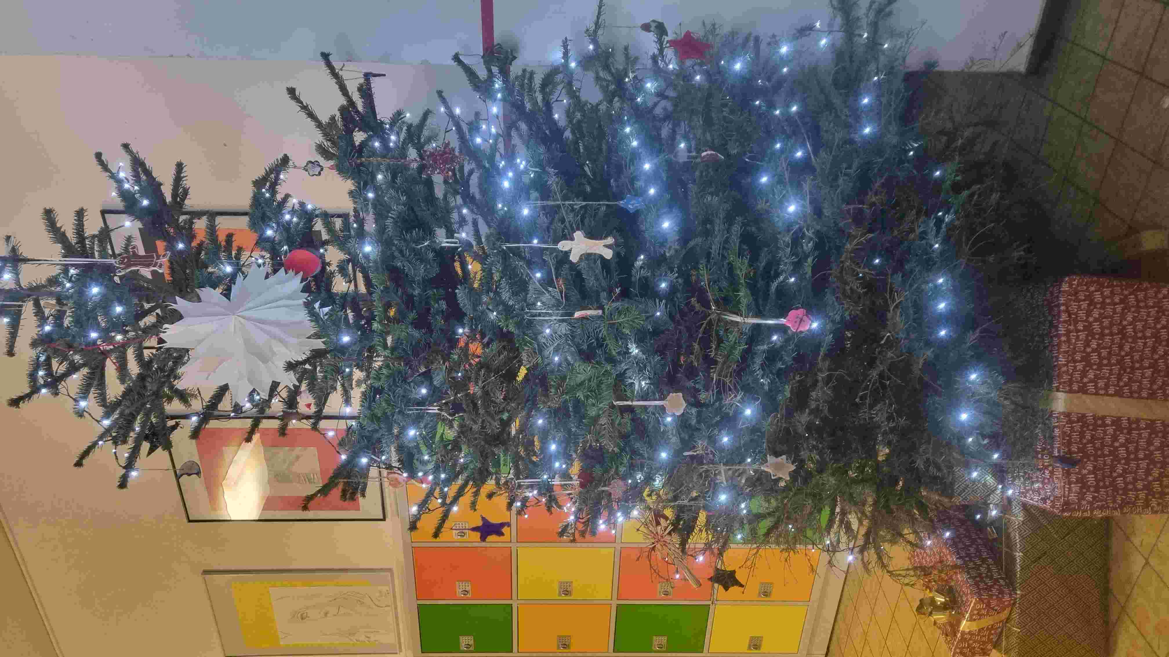 Weihnachtsbaum1_klein.jpg